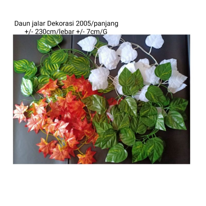 Daun Jalar Dekorasi 2005