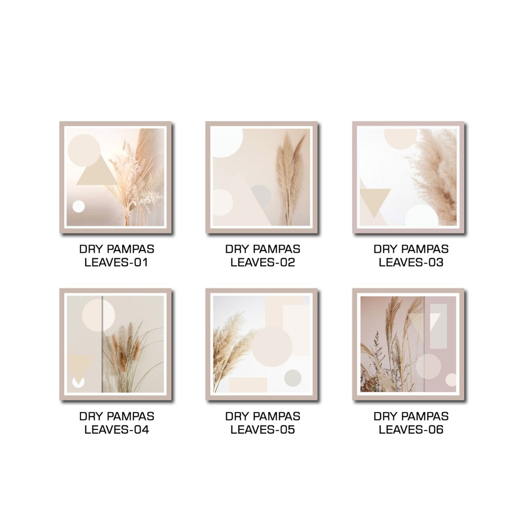 Hiasan Dinding  Pajangan Wall Decor Dry Pampas Leaves 15x15 cm Daun Kering Dekorasi Shabbychic