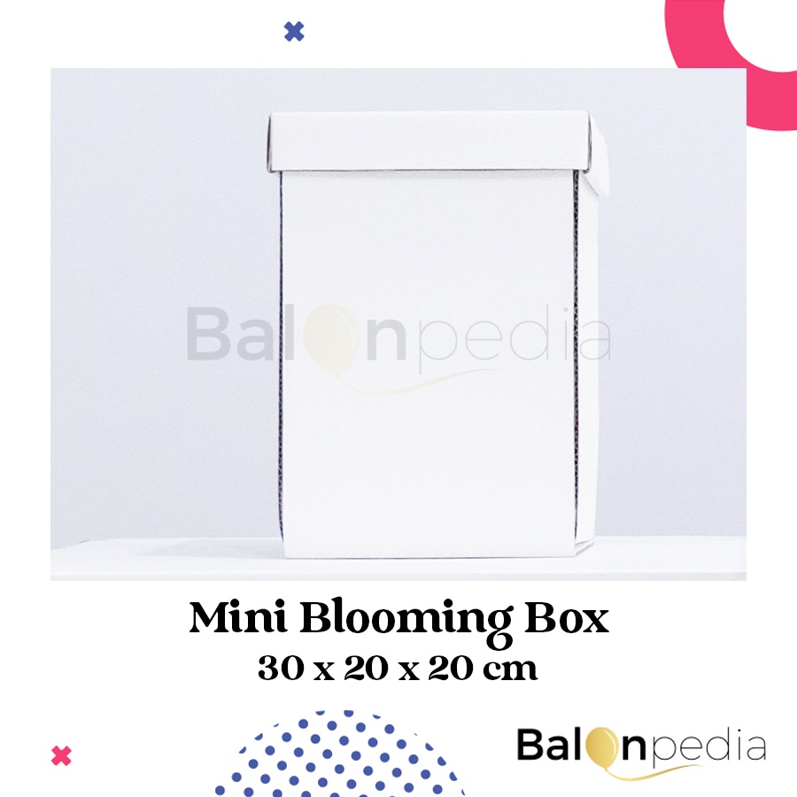 

Mini Blooming Box/Kotak Balon