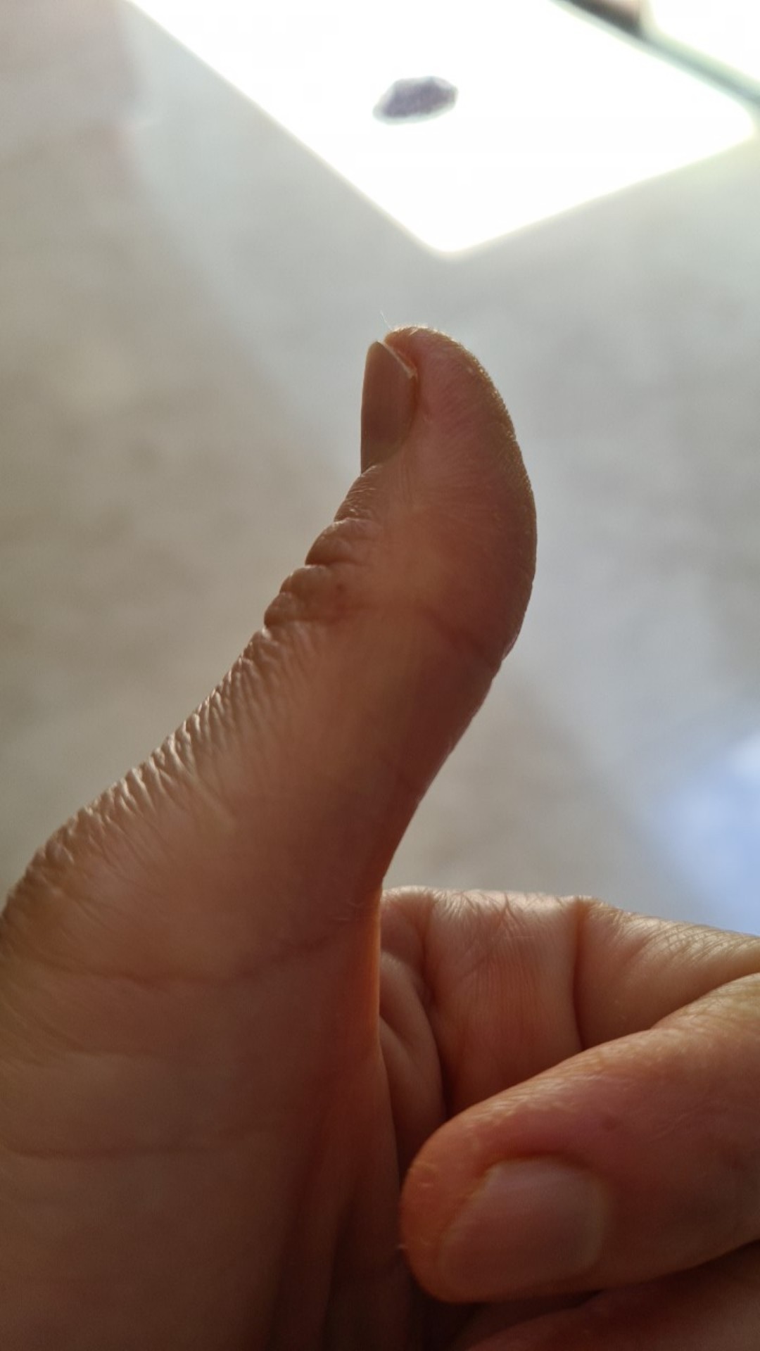 Plastik Hd Tipis Anti Panas 18x30