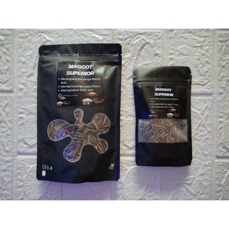 Maggot Superior pakan ikan hias & predator dr ulat maggot kering