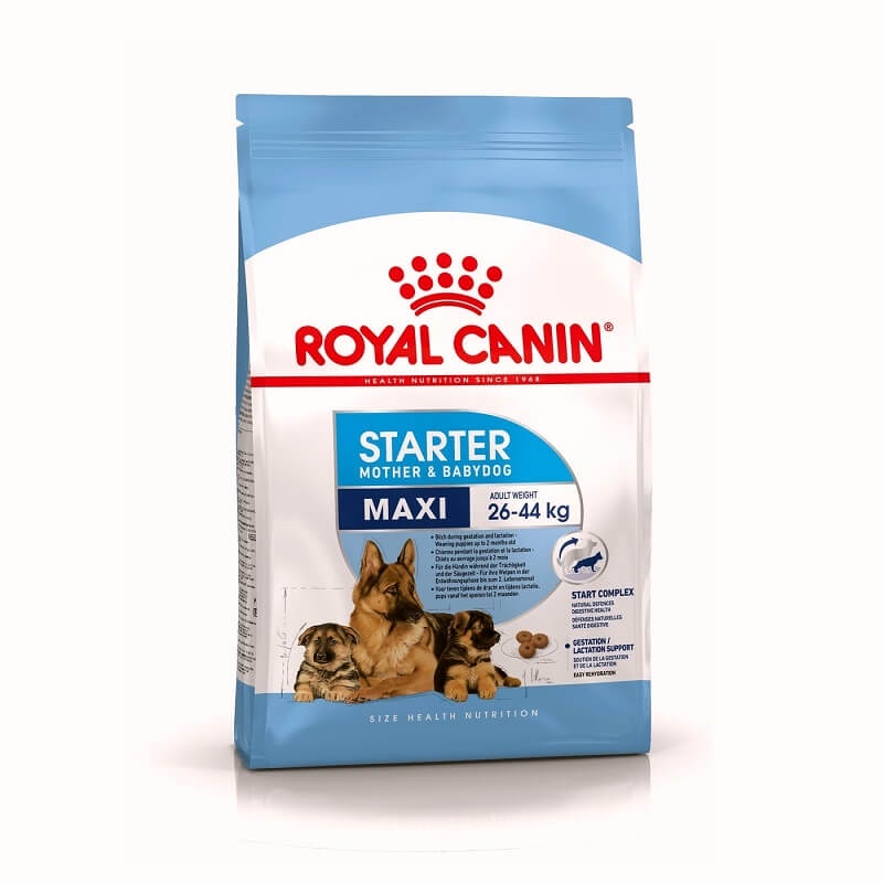 Royal Canin Maxi Starter Mother &amp; Baby Dog 4kg Babydog 4 kg RC Food