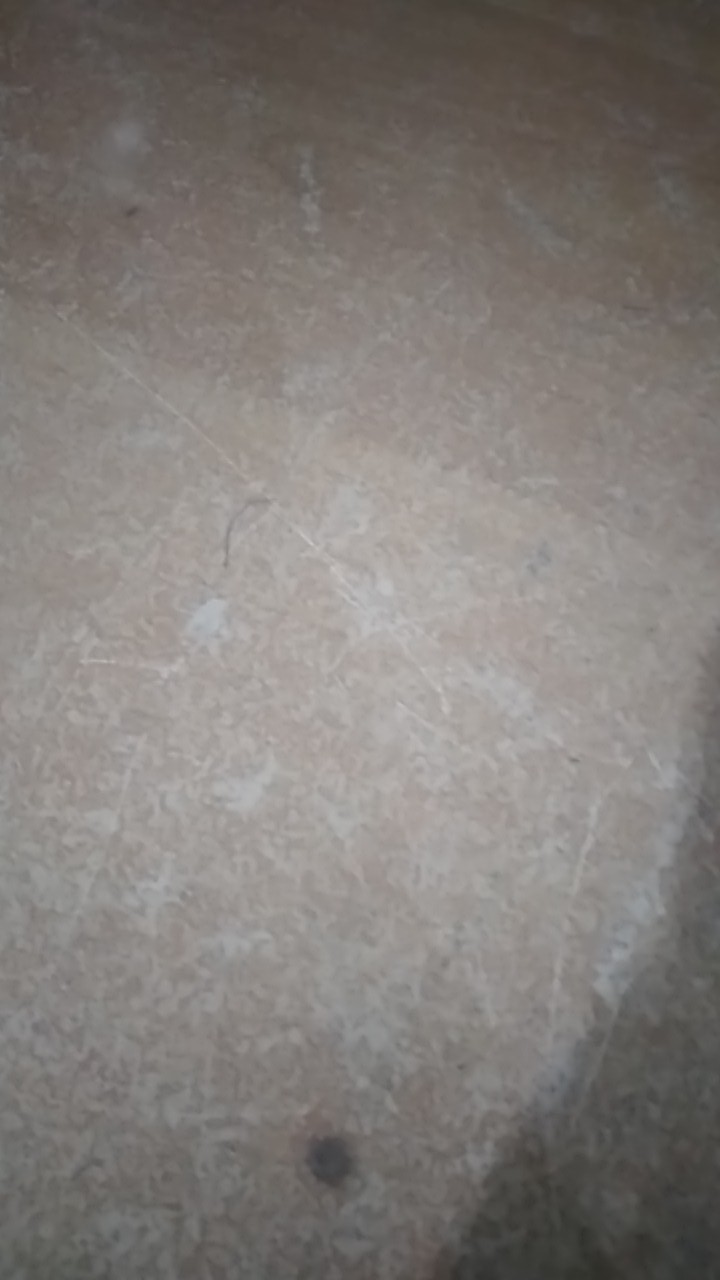 Sos Disinfectant Spray All In One Eucalyptus 250ml