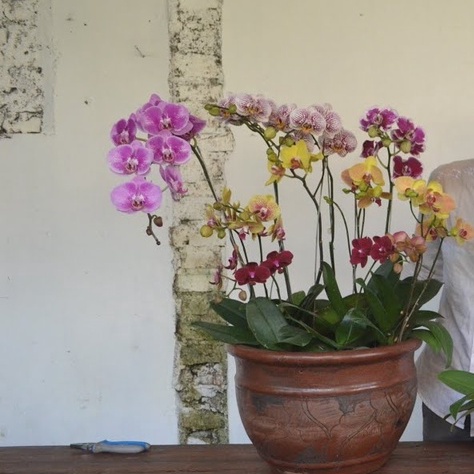 angbul KOLEKSIAN BERBUNGA promo