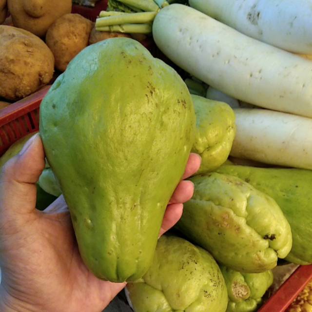 

Labu Siam 1buah