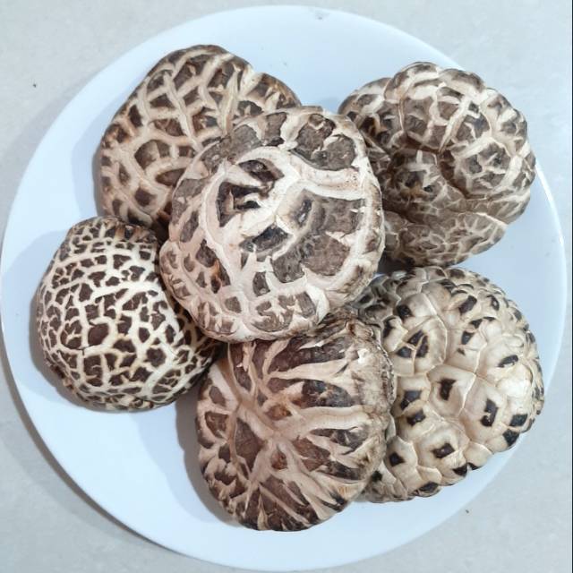 

SU Brand Jamur Hioko Shitake 5-6cm - 100g