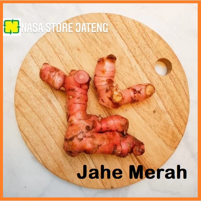 

JAHE MERAH ORGANIK 100 GRAM FRESH SEGAR
