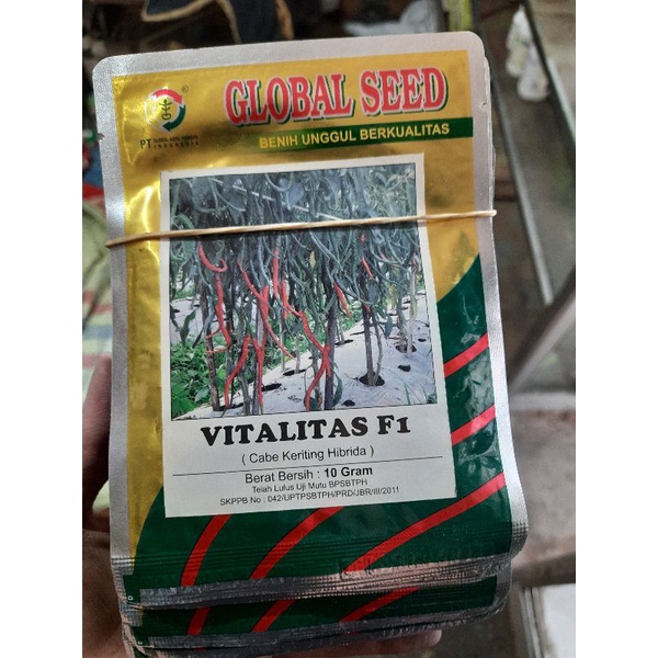 Benih Cabe Keriting Vitalitas F1