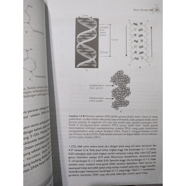 (ORIGINAL) BUKU BIOLOGI MOLEKULER TRIWIBOWO