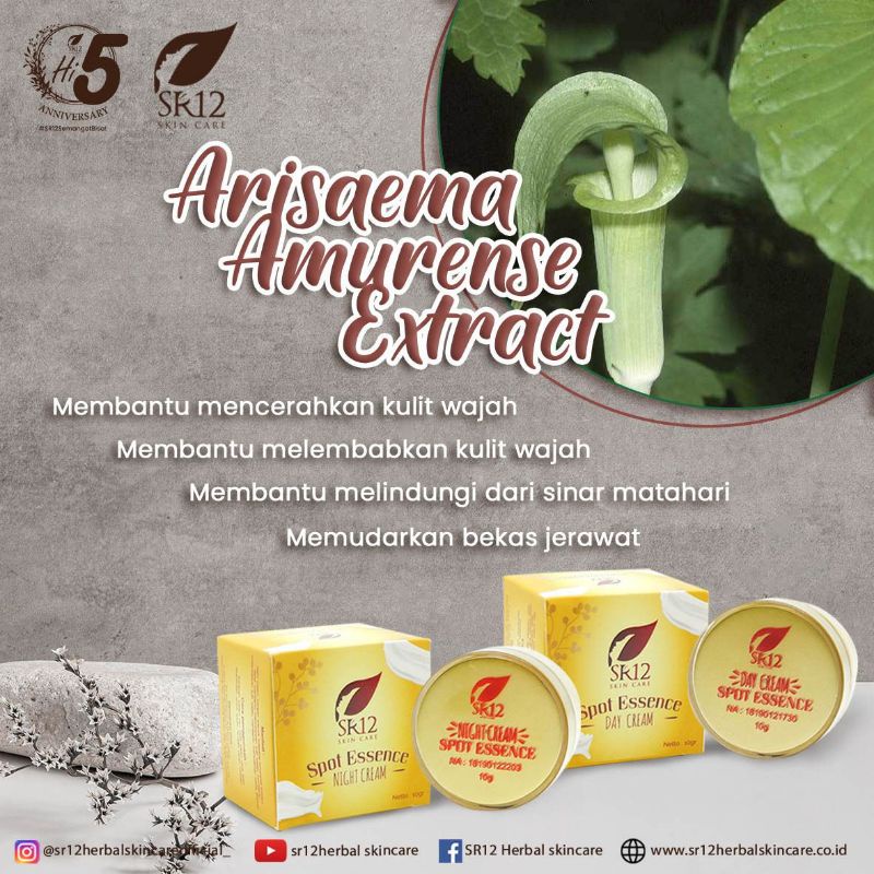 cream spot esense sr 12 cream anti flek hitam menahun dan bekas jerawat ampuh berbpom aman bumi busu