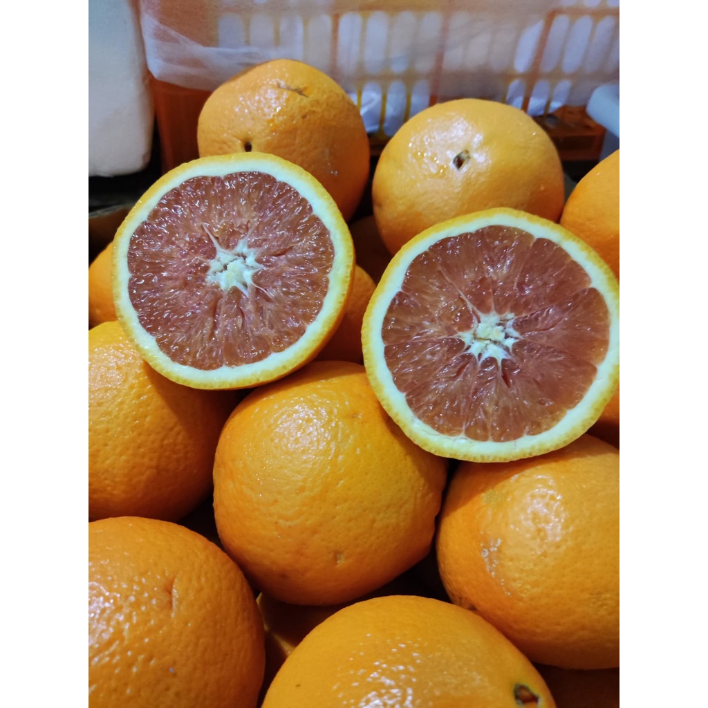 

Sunkist Navel Cara Cara Buah Segar Bandung