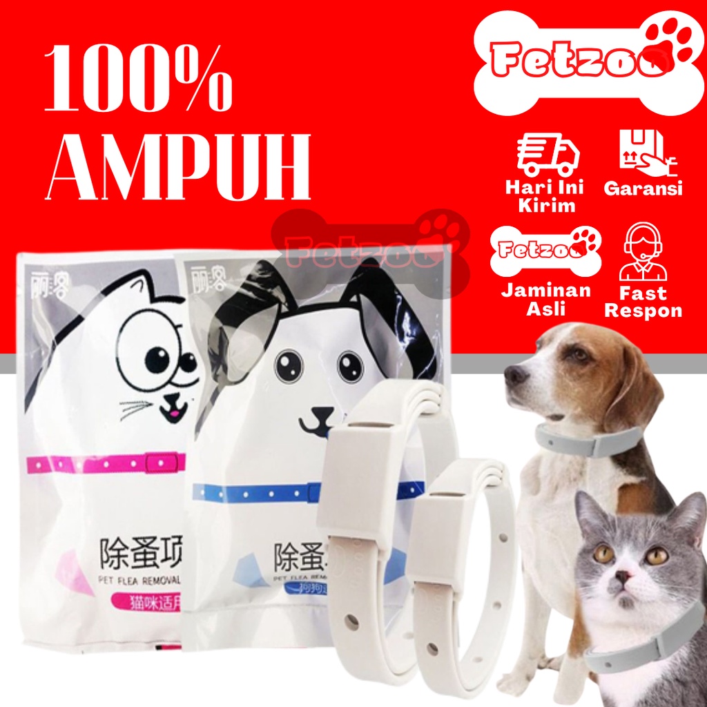 KALUNG PUTIH ANTI KUTU ANTI NYAMUK Flea Tick Cat Kalung Kucing Anjing Murah Lucu Untuk Kitten Akseso