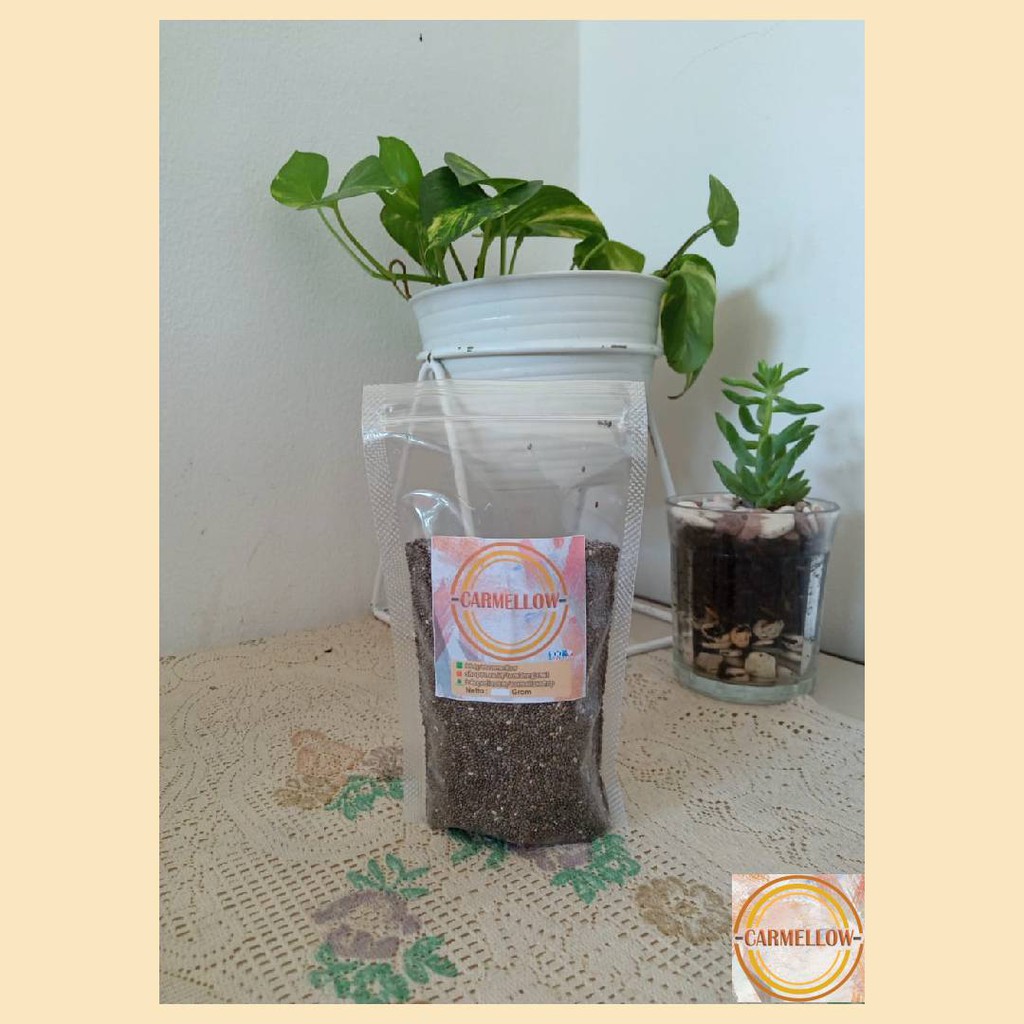

Chia Seed Kemasan 100gr / Organic Chia Seed [Healty Food] / Biji Chia Kaya Akan Serat & Nutrisi