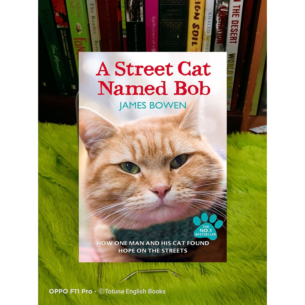 

A street cat named bob