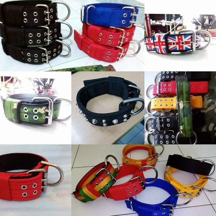 KALUNG ANJING BESAR DOG COLLAR ANJING PITBULL