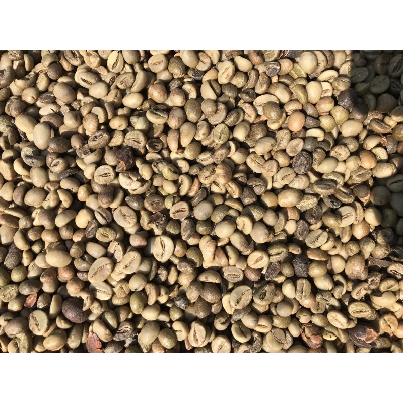 

Green Bean Robusta Lampung Petik Merah 1kg