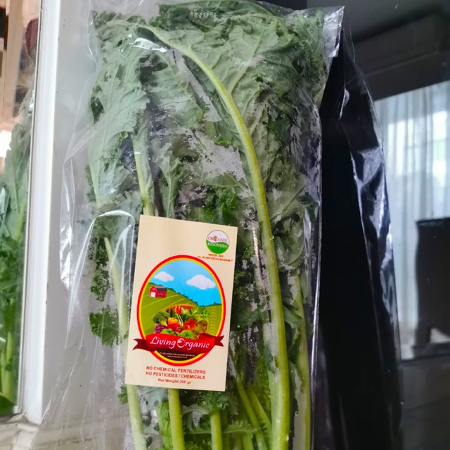 

Kale Sayuran Organik Per Kg