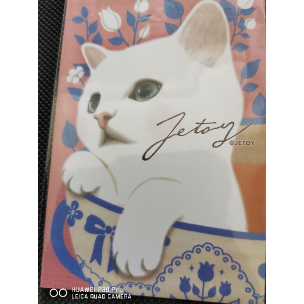 

kartu pos kucing jetoy/jetoy cat postcard