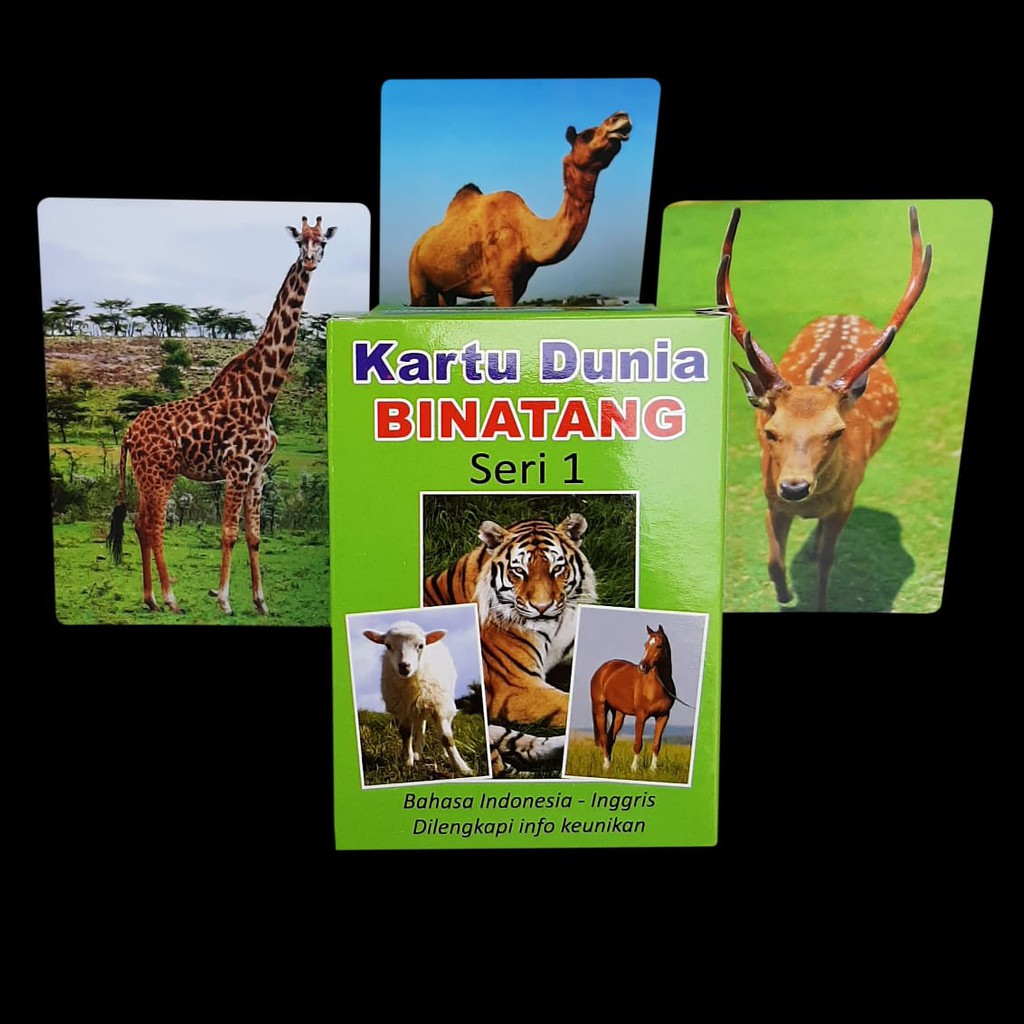 Jual Flashcard Animal Kartu Binatang seri 1 Flash Card / Kartu Baca