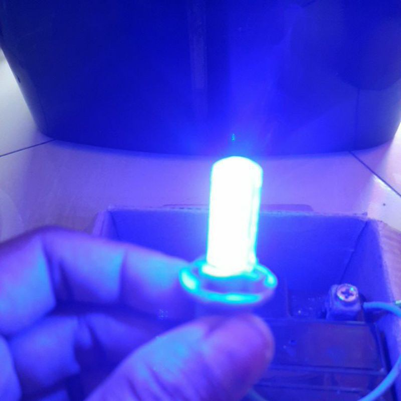 lampu led senja kota T10 12volt  mode kedip strobo-Biru
