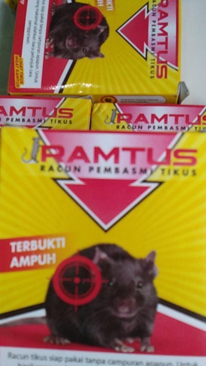 Ramtus Obat Racun Tikus Langsung Mati Kering Tidak Bau Sangat Ampuh Racun Pembasmi Tikus 6 Pack