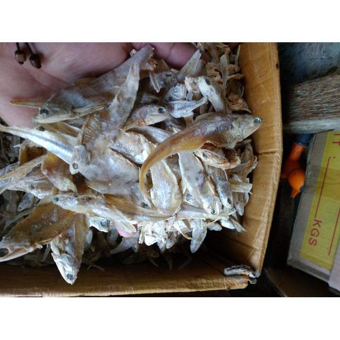 

Ikan asin bulu ayam tawar bagan