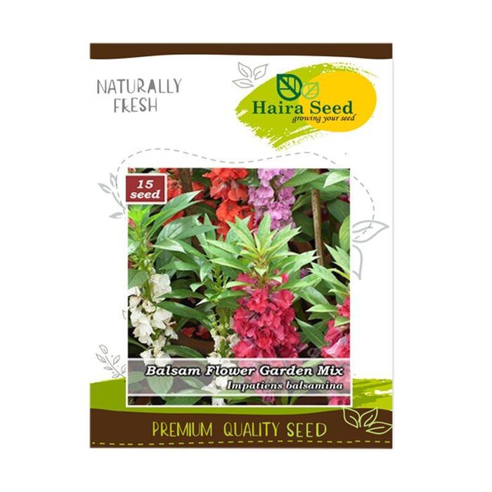 Benih Bibit Bunga Pacar Air Mawar Rose Balsam Mix 15 Biji Haira Seed