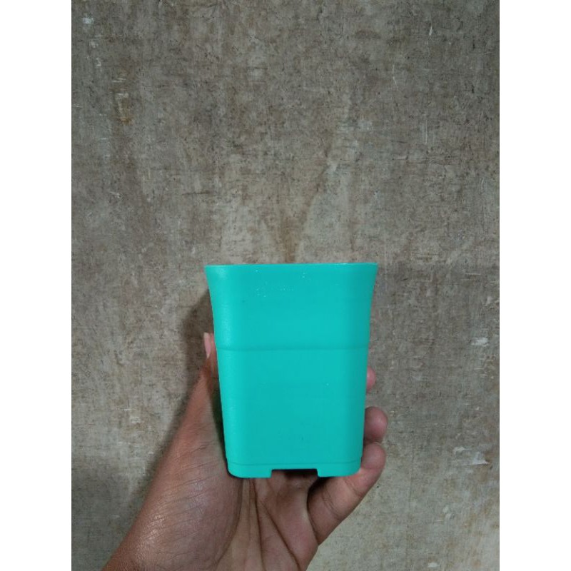 Pot Mini Lokal Hijau Tosca