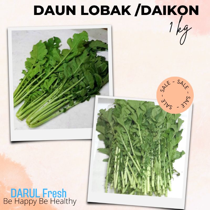 

daun lobak atau radish fresh 1kg