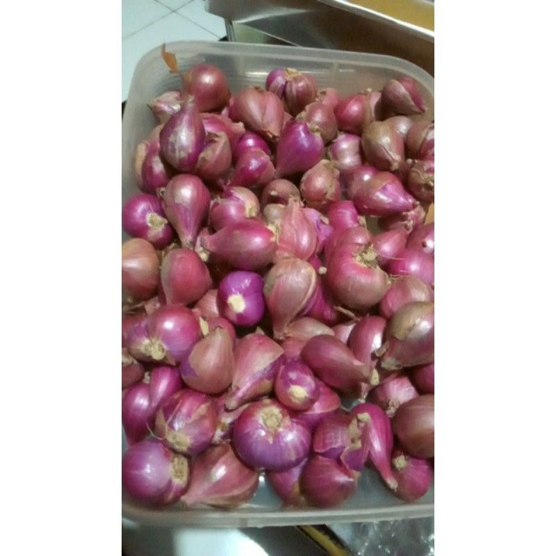 

bawang merah .