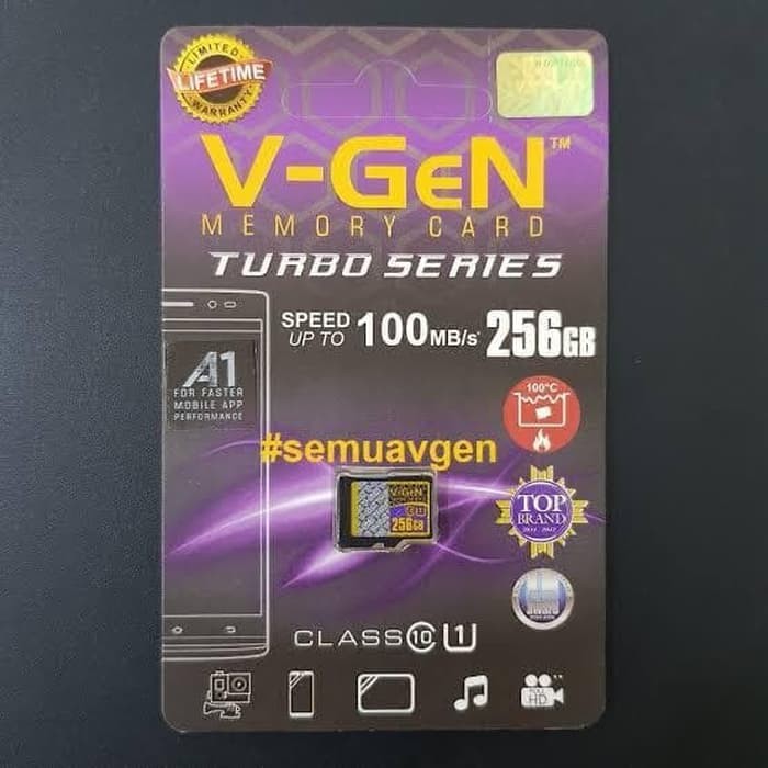 KARTU MEMORY V-GEN 256 GB CLASS 10