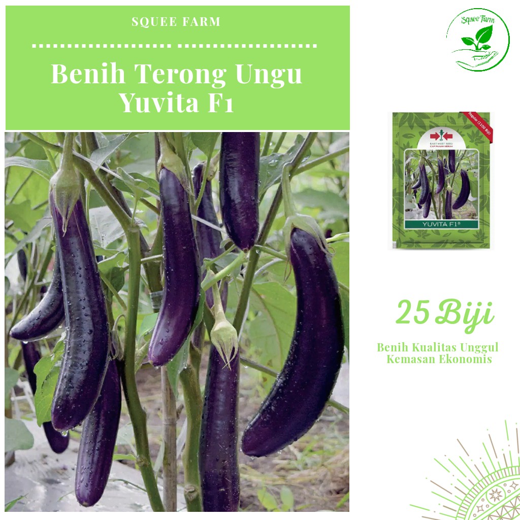 25 Biji - Benih Terong Ungu YUVITA F1