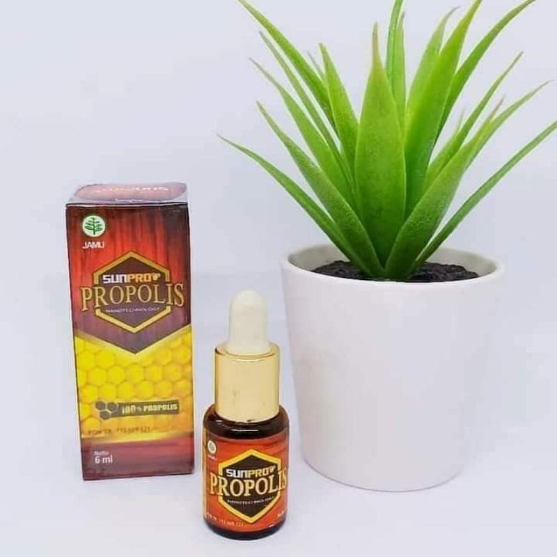 SUNPRO PROPOLIS NASA ORIGINAL