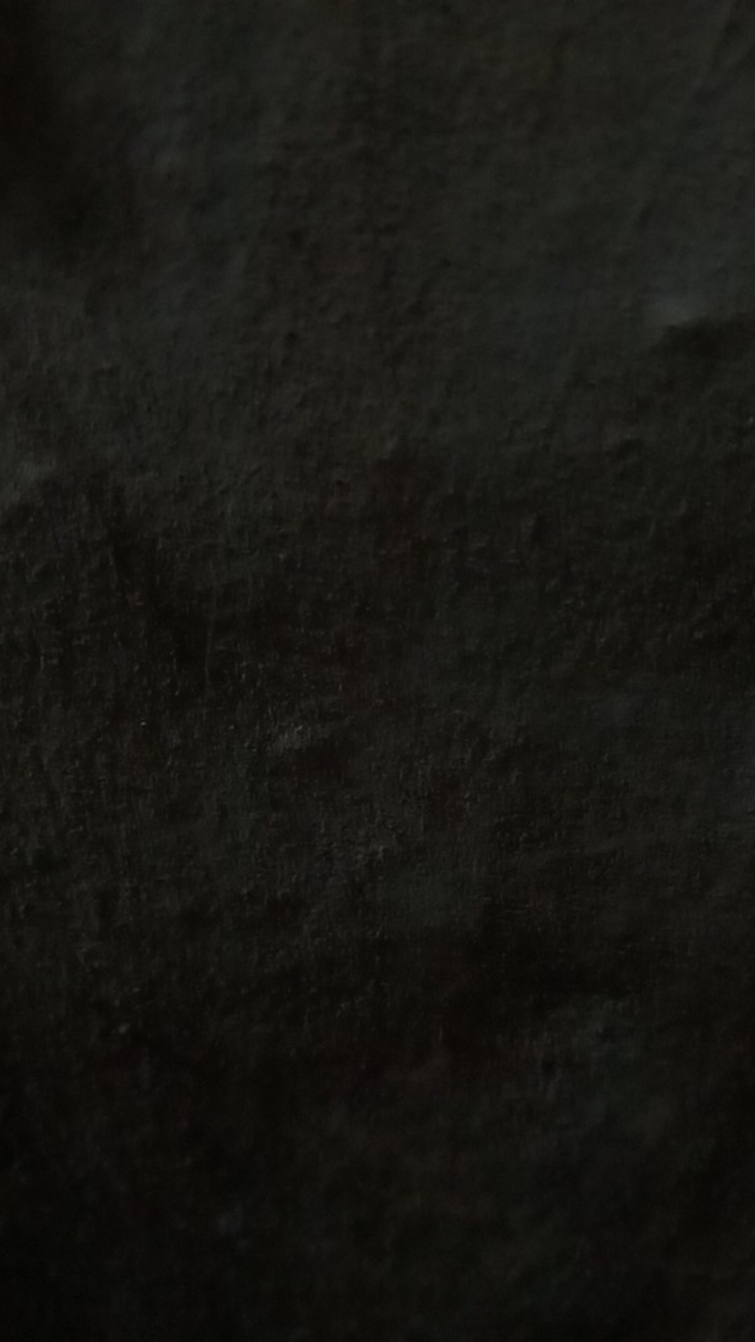 Mika Bolu Gulung Isi 10pcs