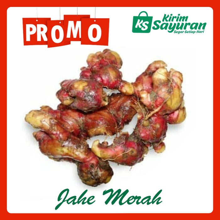 

Jahe Merah (1 kg)