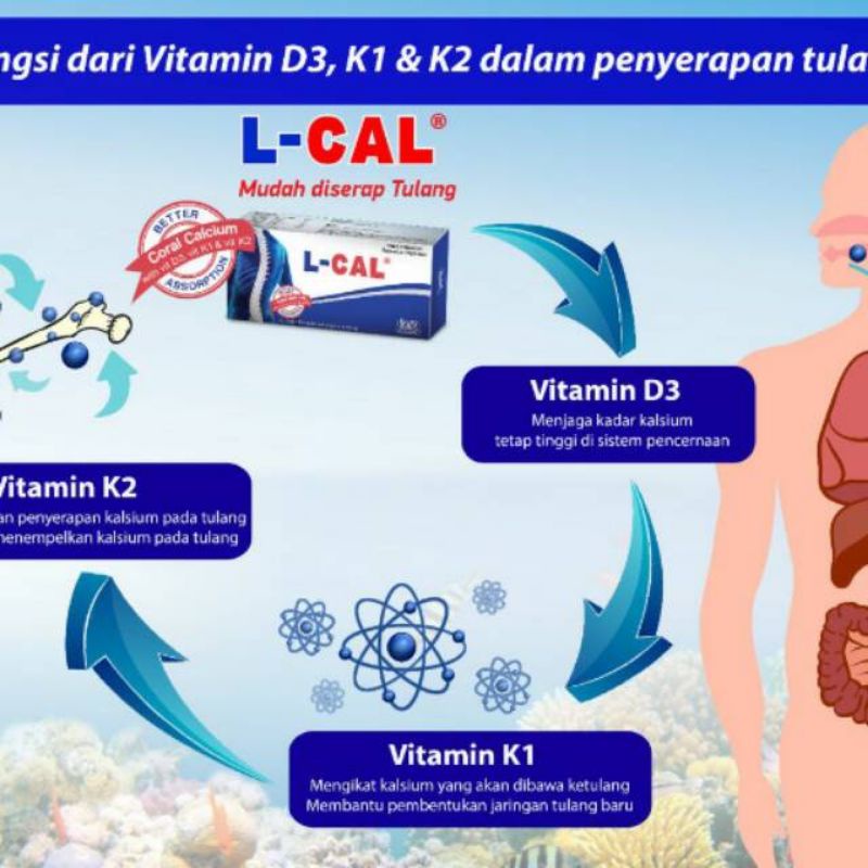 lov me❤ L CAL 95 Box Isi 30 - Suplemen Kalsium-Vitamin k1 -vitamin K2- vitamin D3-vitamin tulang dan kesehatan ibu hamil dan osteoporosis