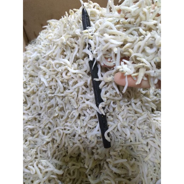 

Teri medan super 500g 65 rb