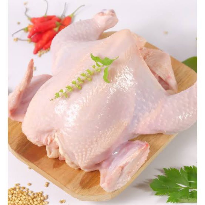 

Ayam Boiler - Ayam Utuh 900-1000 gram - Ayam 1kg Frozen Segar