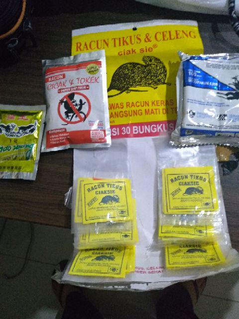 Racun Cicak & Tokek Sangat Ampuh Garansi Uang Kembali