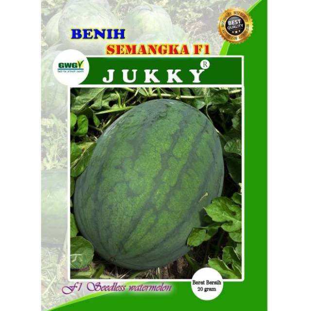 Benih Bibit Semangka Non Biji Bersertifikat F1 JUKKY 20  gr.