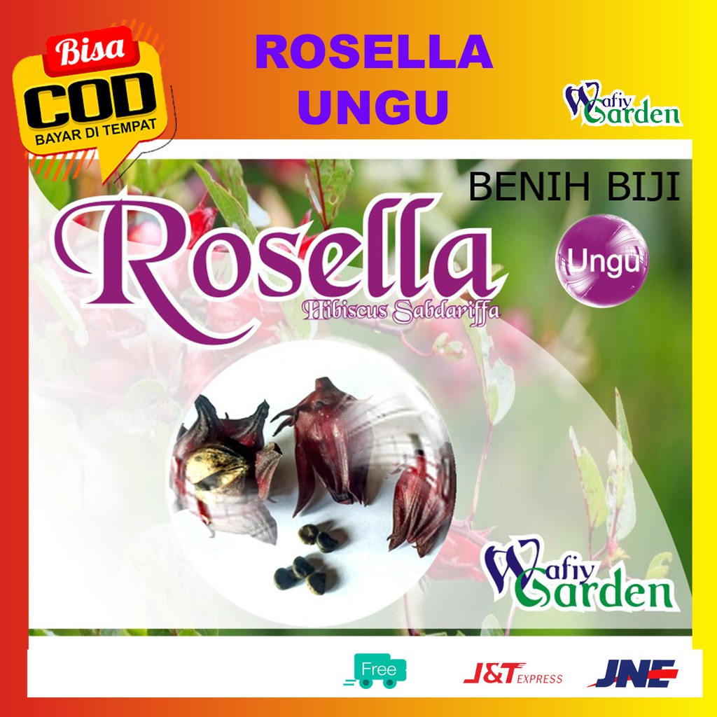 Rosella Ungu  Benih Biji Bibit Rosella  Bibit Teh Rosella 20 biji Bibit Tanaman Rosela benih rosela 
