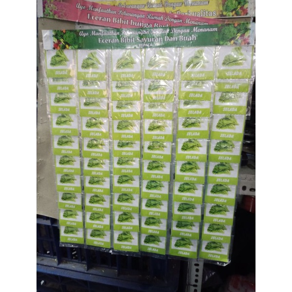 bibit tanaman sayuran selada,pakcoy, cabai rawit putih, cabai merah besar, daun bawang