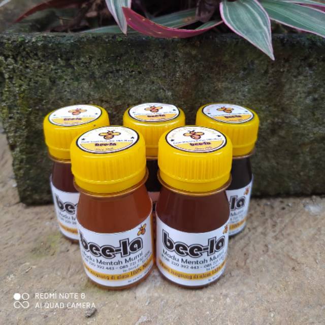 

Madu odeng asli