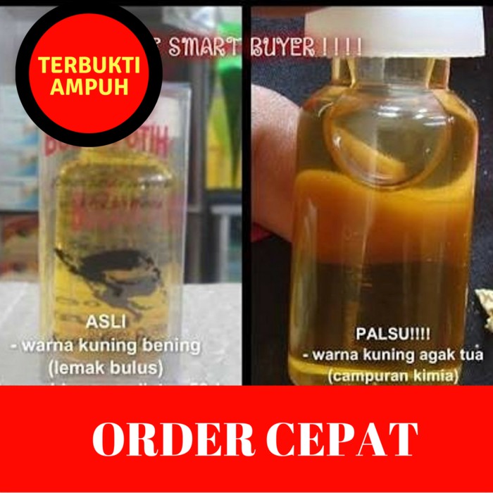 Minyak Bulus Asli Alami Ampuh Pembesar Payudara Penghilang Jerawat Shopee Indonesia