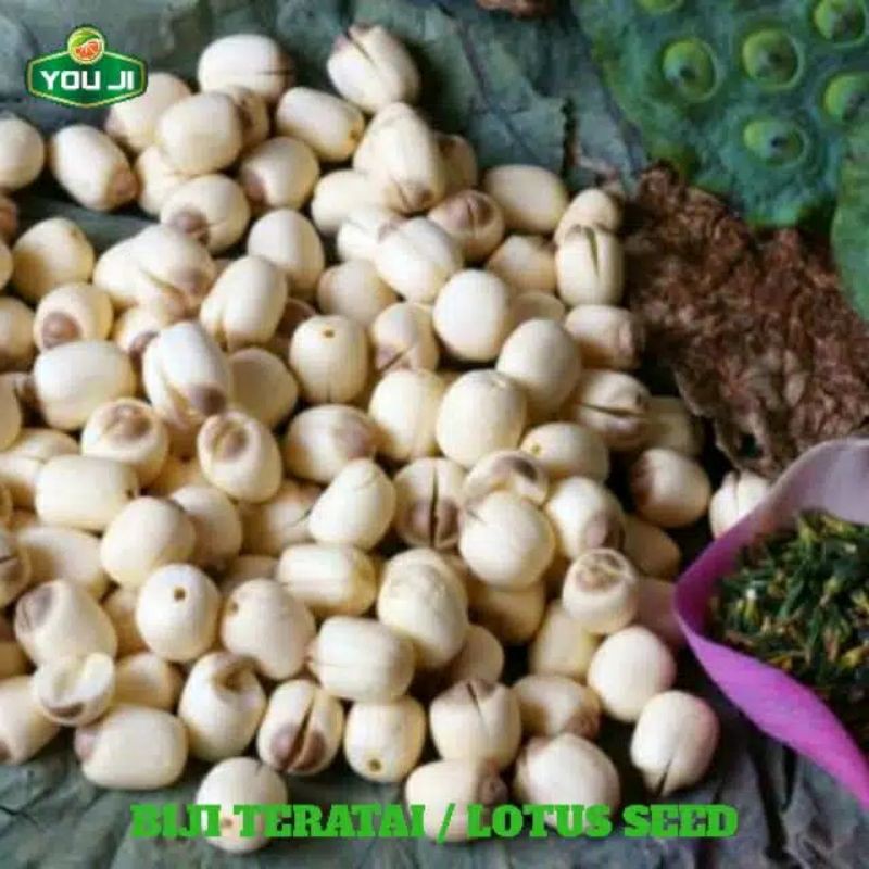 

Biji Teratai / Lotus Seed