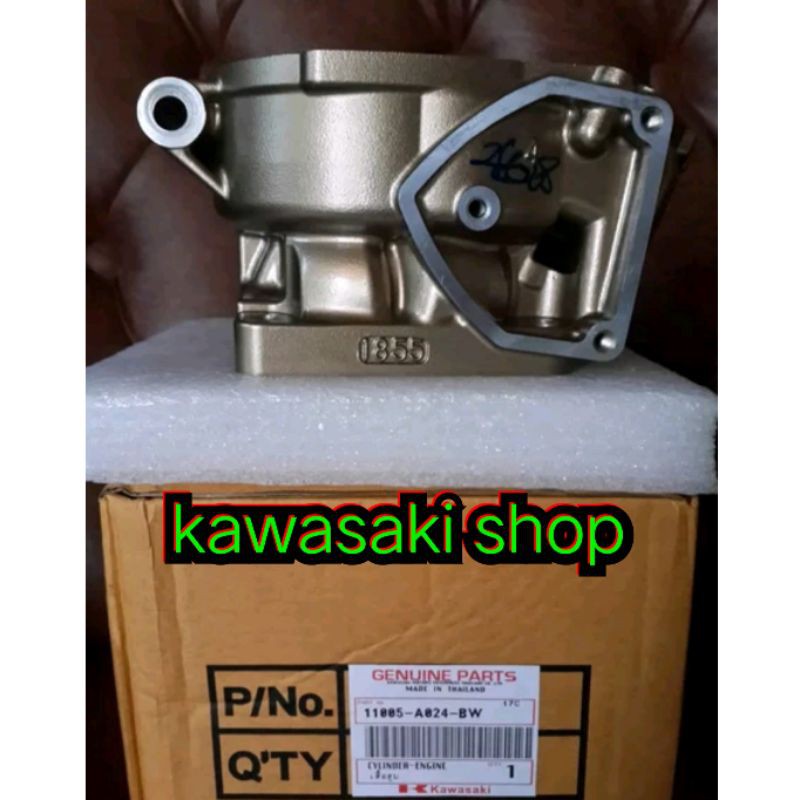 blok mesin cylinder engine PDK gold ninja R ninja RR ninja ss original kawasaki