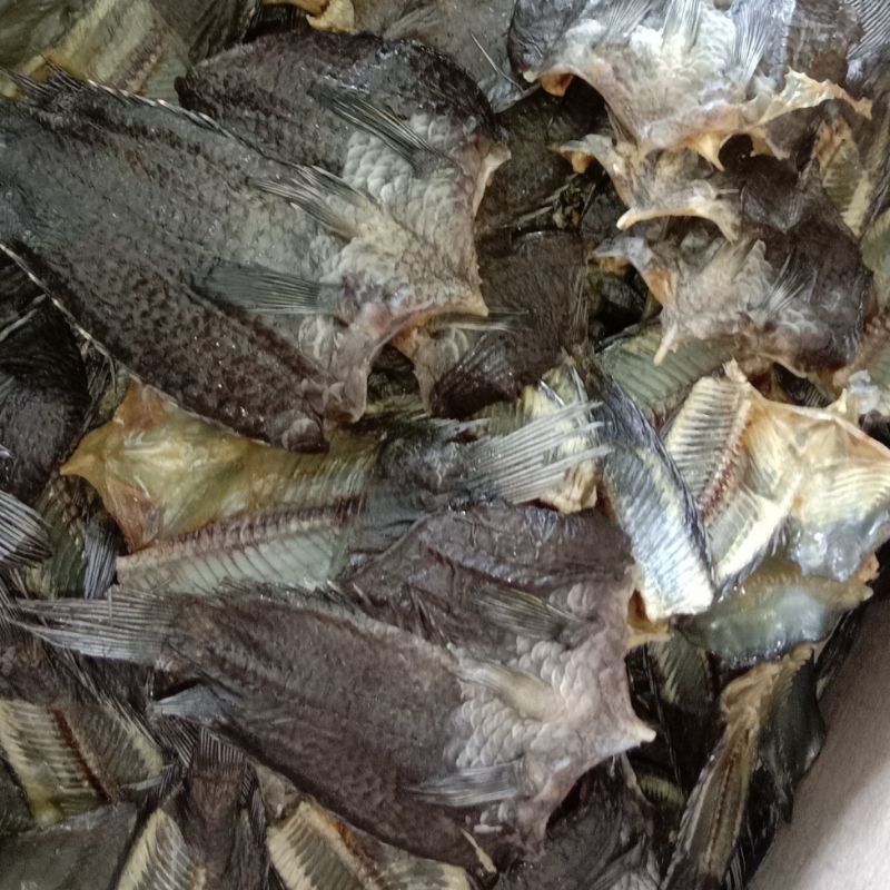 

Ikan Asin Pepuyu