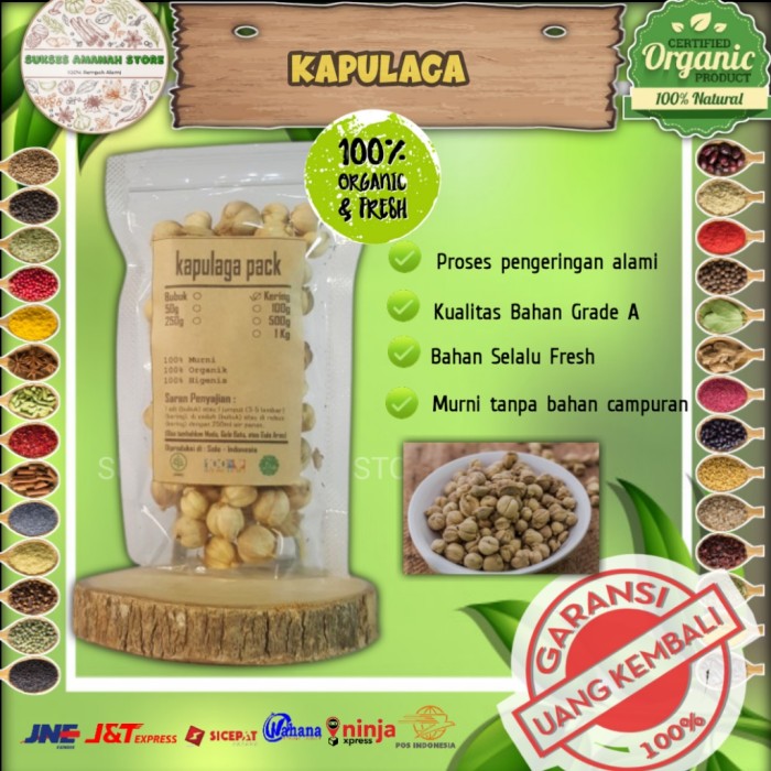 

Kapulaga kapulogo kering 50 gram Amomum Compactum