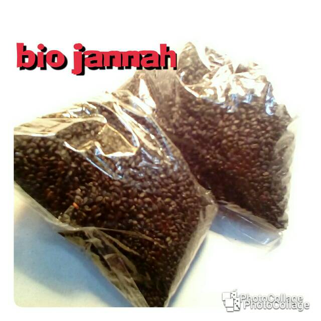 

Biji selasih 100gr