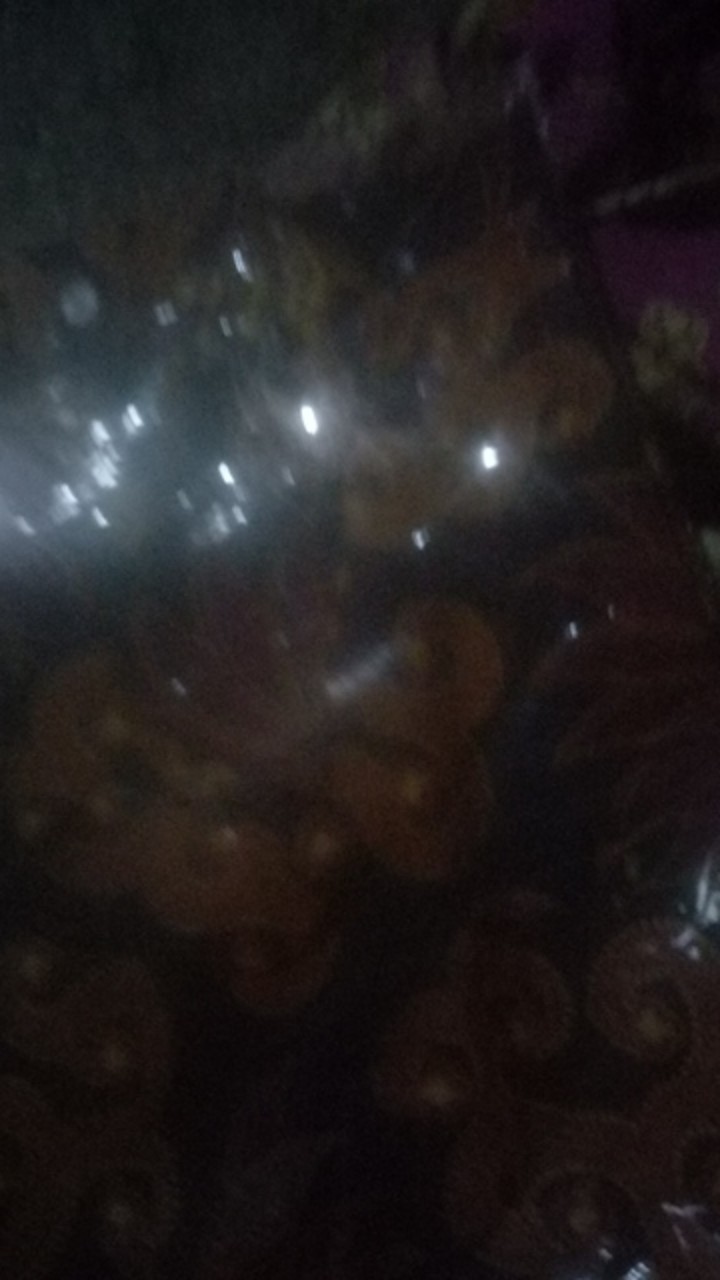 Ataasan Batik Cowok Original Pekalongan